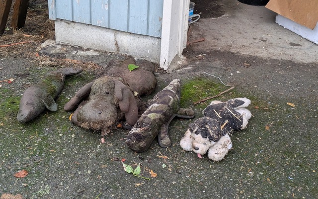 Gallery of jump scares collage