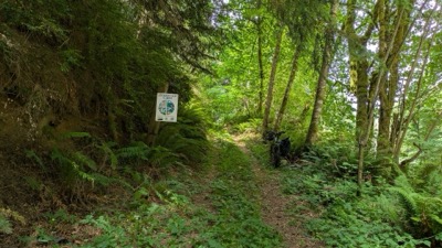 Road/trail entrance to Cedarhurst property