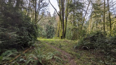 Road bend on Cedarhurst property